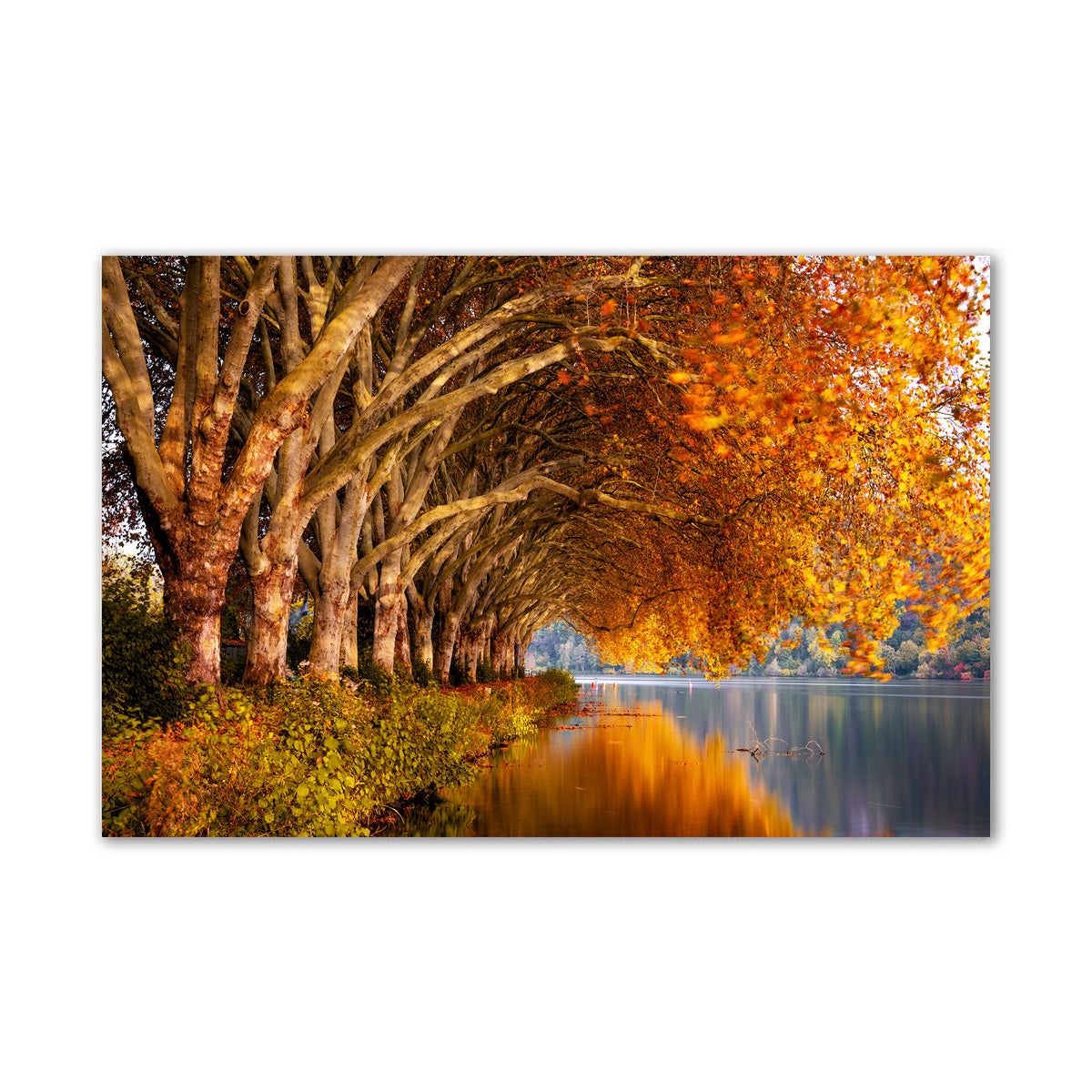 Autumn - Unframed Canvas Painting