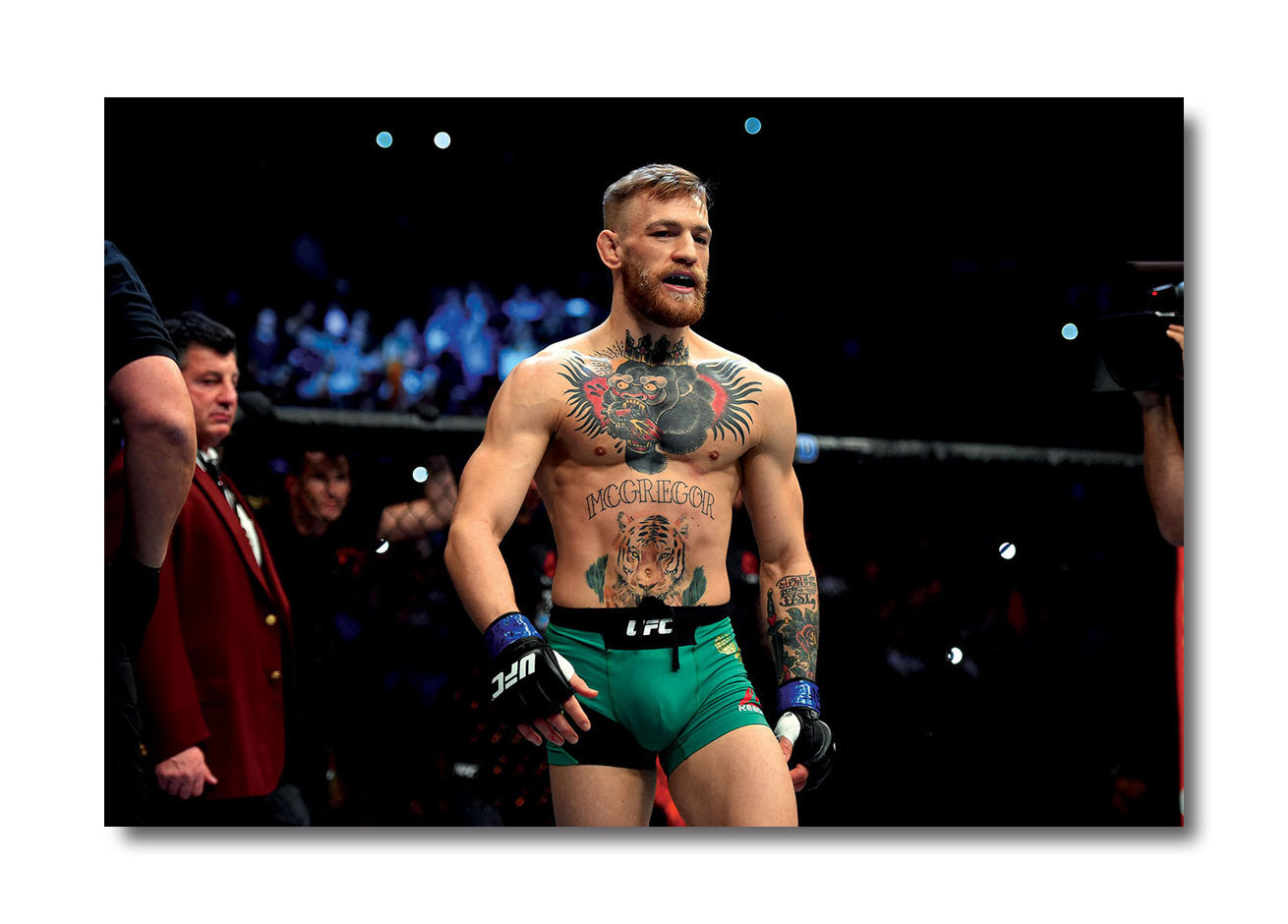 Conor McGregor Poster - Non Sticker